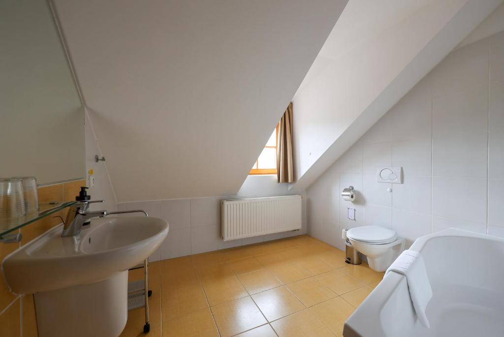 Hotel Mlýn - Resim 5