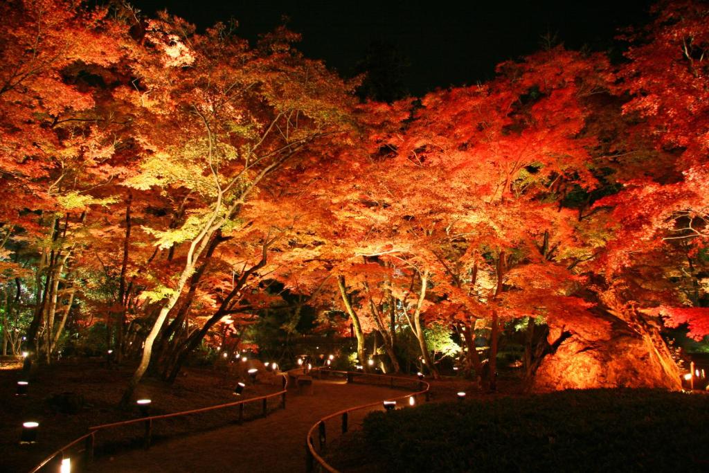 Zahrada ubytování Sun Members Kyoto Saga