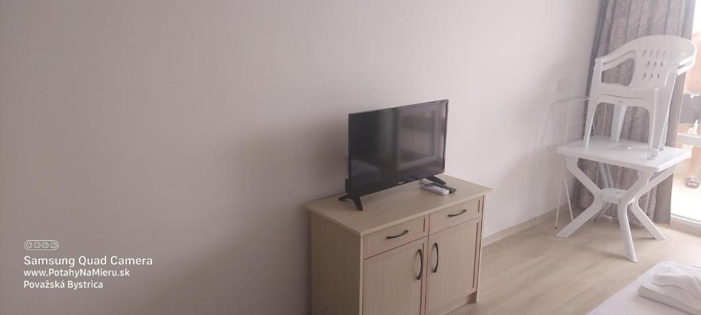 TV a/nebo společenská místnost v ubytování Apartman RS