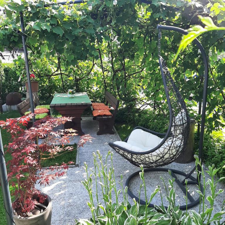 Zahrada ubytování APARTMA LAMBERGER
