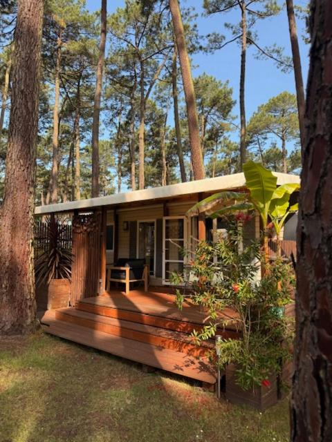 une petite maison sur une terrasse dans les bois dans l'établissement Mobil-home plage des casernes, à Seignosse