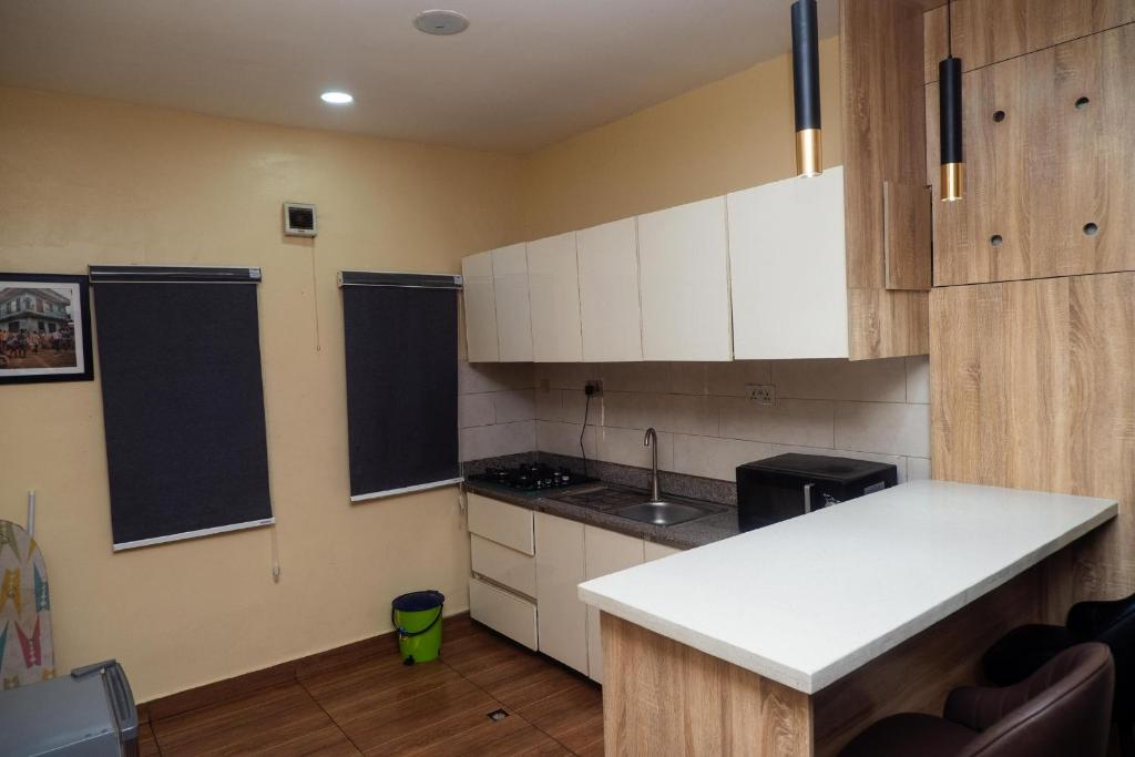 Kuchyň nebo kuchyňský kout v ubytování Apartment 19