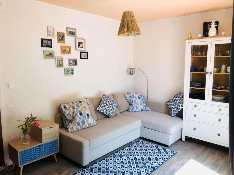 un salon avec un canapé et une table dans l'établissement Au calme entre les pins a 300m de la plage, à Argelès-sur-Mer