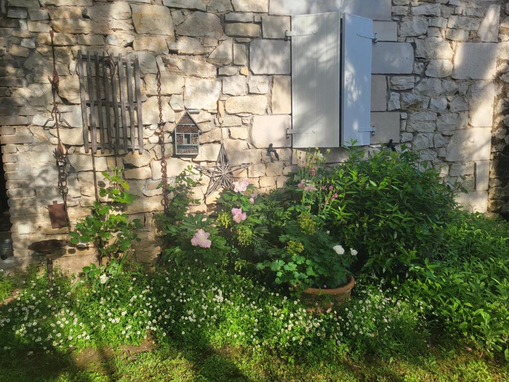 Zahrada ubytování Chambre de charme