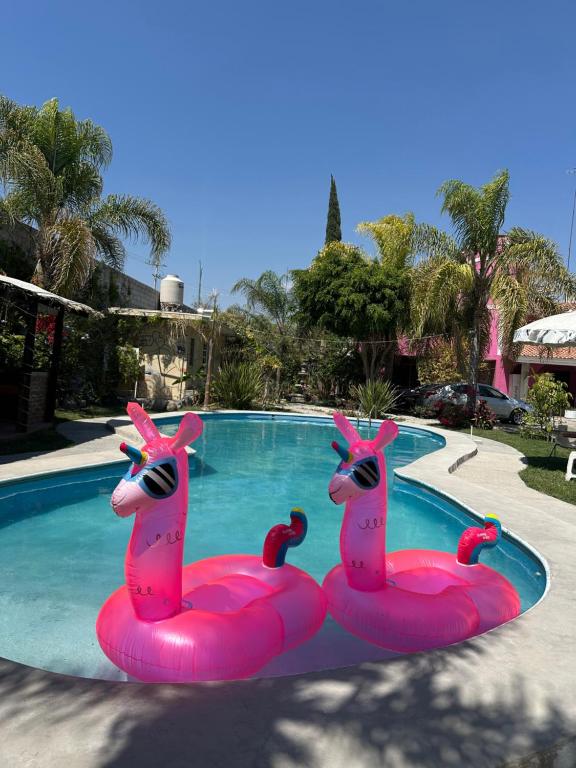 Kolam renang di atau dekat dengan Hotel Pink TH