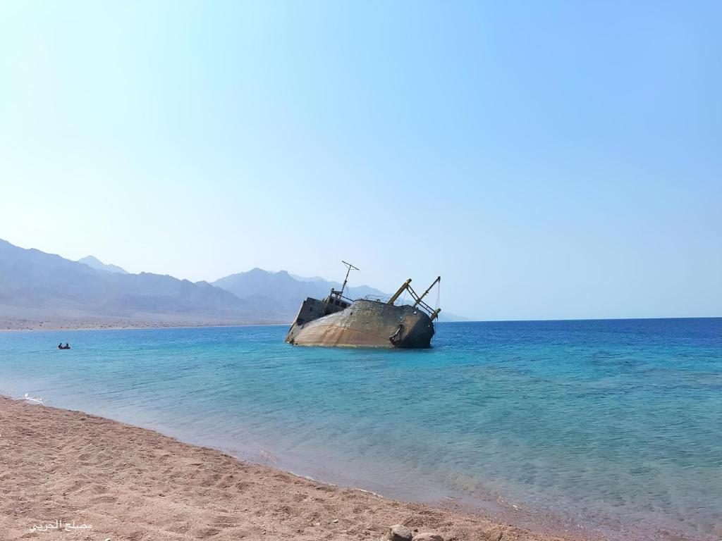المناظر الطبيعية بالقرب من الفندق