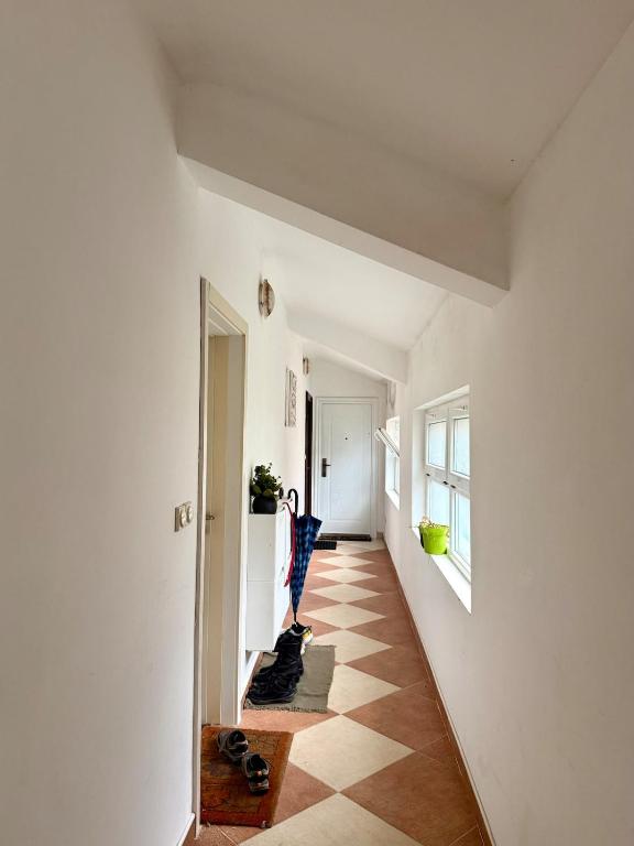 Foto sihtkohas Donji Stoliv asuva majutusasutuse Sea view apartment in Stoliv, Markov Rt galeriist