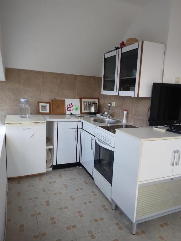 Kuchyň nebo kuchyňský kout v ubytování Apartman Dane