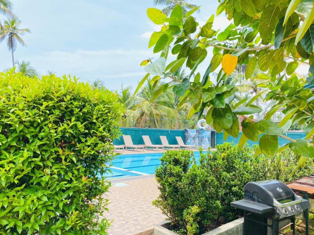 a swimming pool surrounded by trees and bushes at Carambola Resort in Negombo