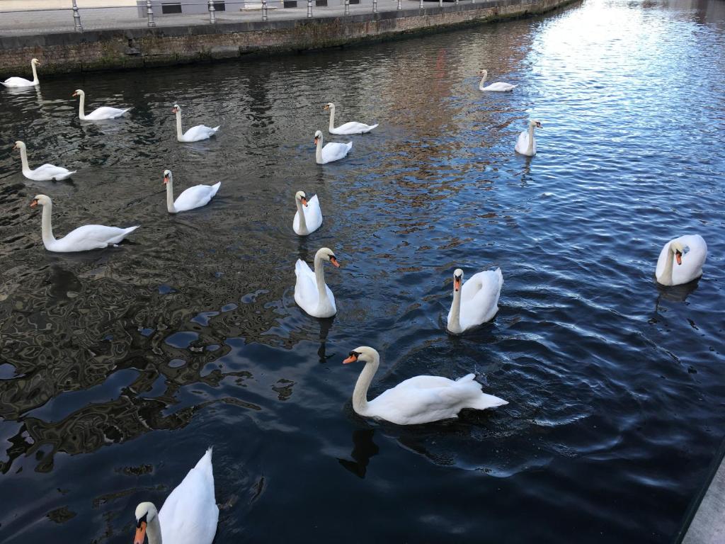 Hotel Van Cleef - Resim 38