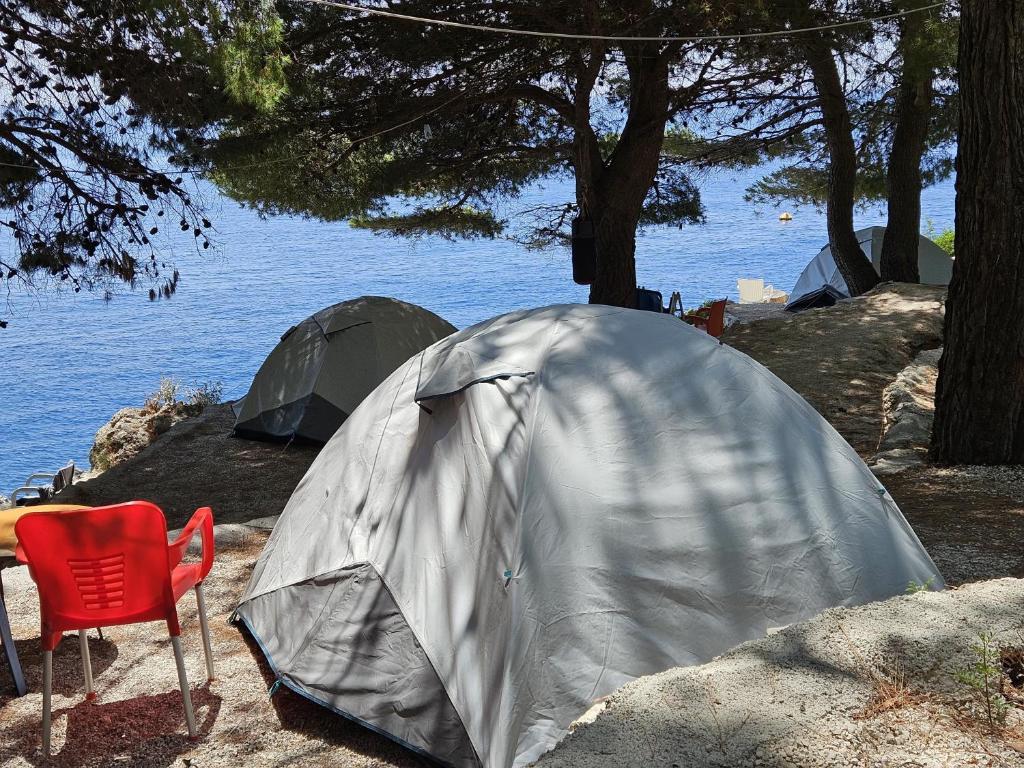 Příroda nedaleko luxury tent
