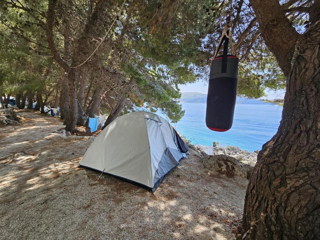 Příroda nedaleko luxury tent