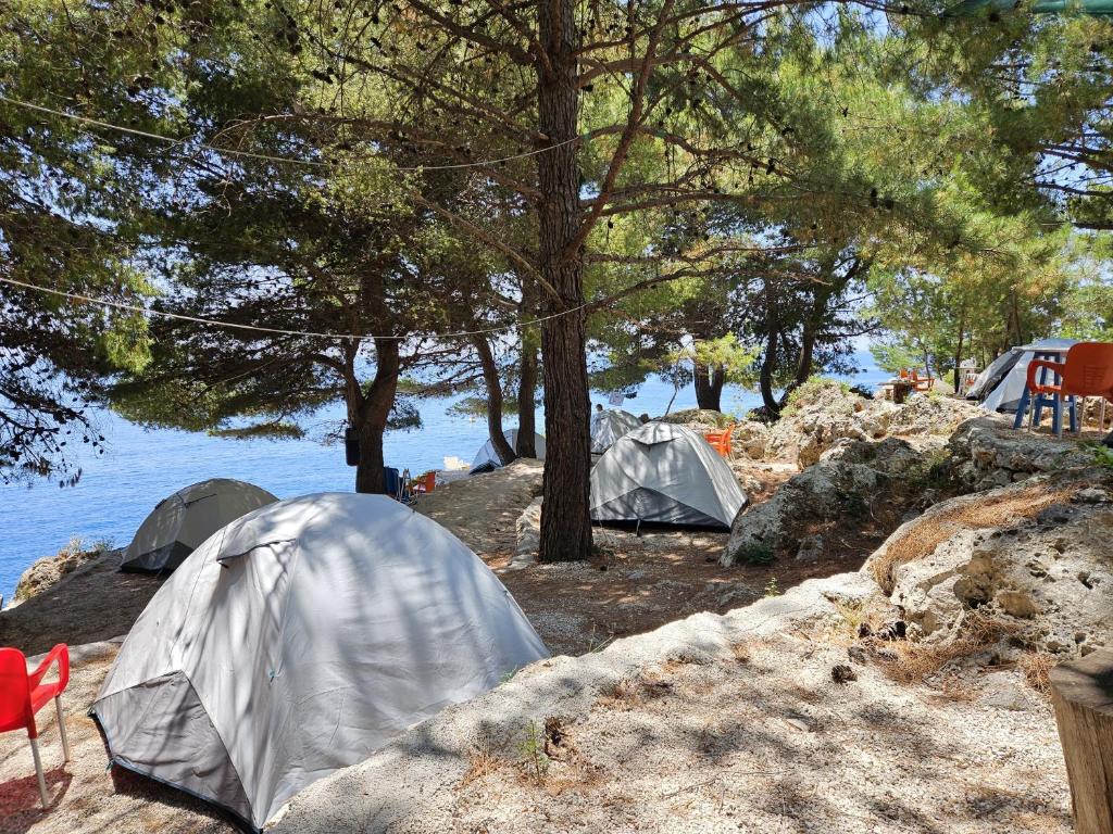 Příroda nedaleko luxury tent