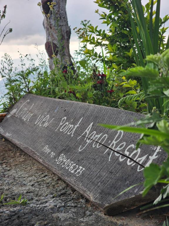 Příroda nedaleko rezortu