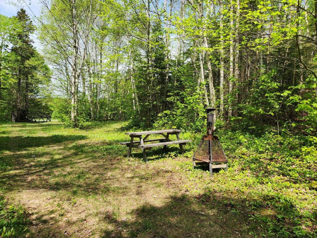 a picnic table and a grill in the woods at Terrain de camping in Saint-Philémon