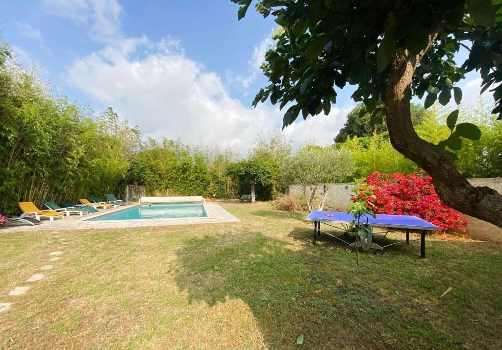 - une table de pique-nique bleue à côté de la piscine dans l'établissement Piscine, plage à pied, WIFI, billard, babyfoot, ping pong, BBQ..., à La Seyne-sur-Mer