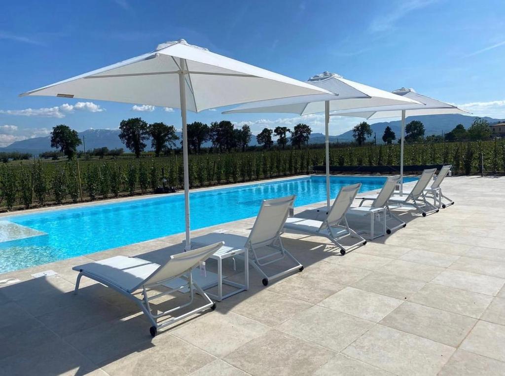 Tenuta Tre Gemme in Cantina - Don Rocco