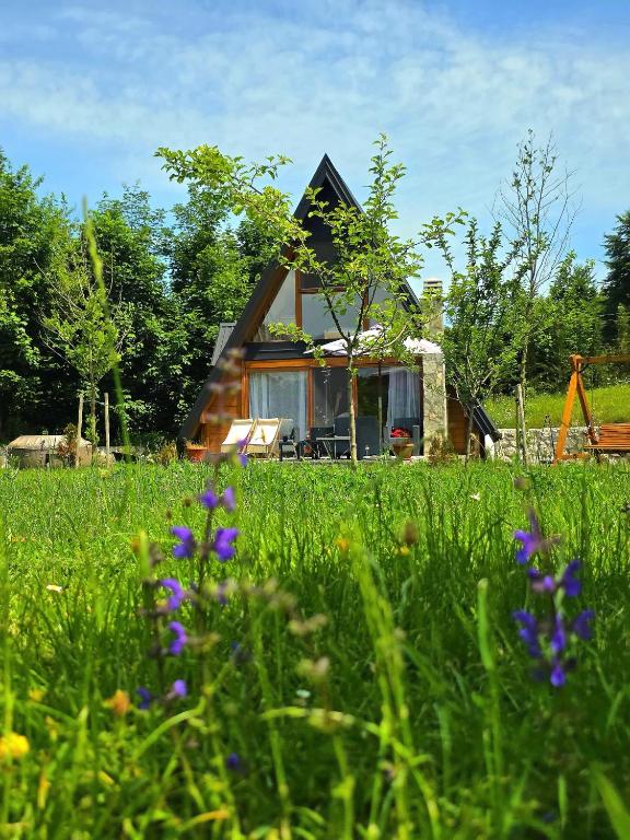 Zahrada ubytování Albero Casa
