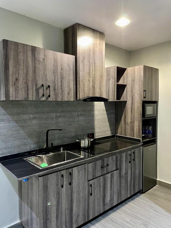 Kuchyň nebo kuchyňský kout v ubytování Alluvia Residences