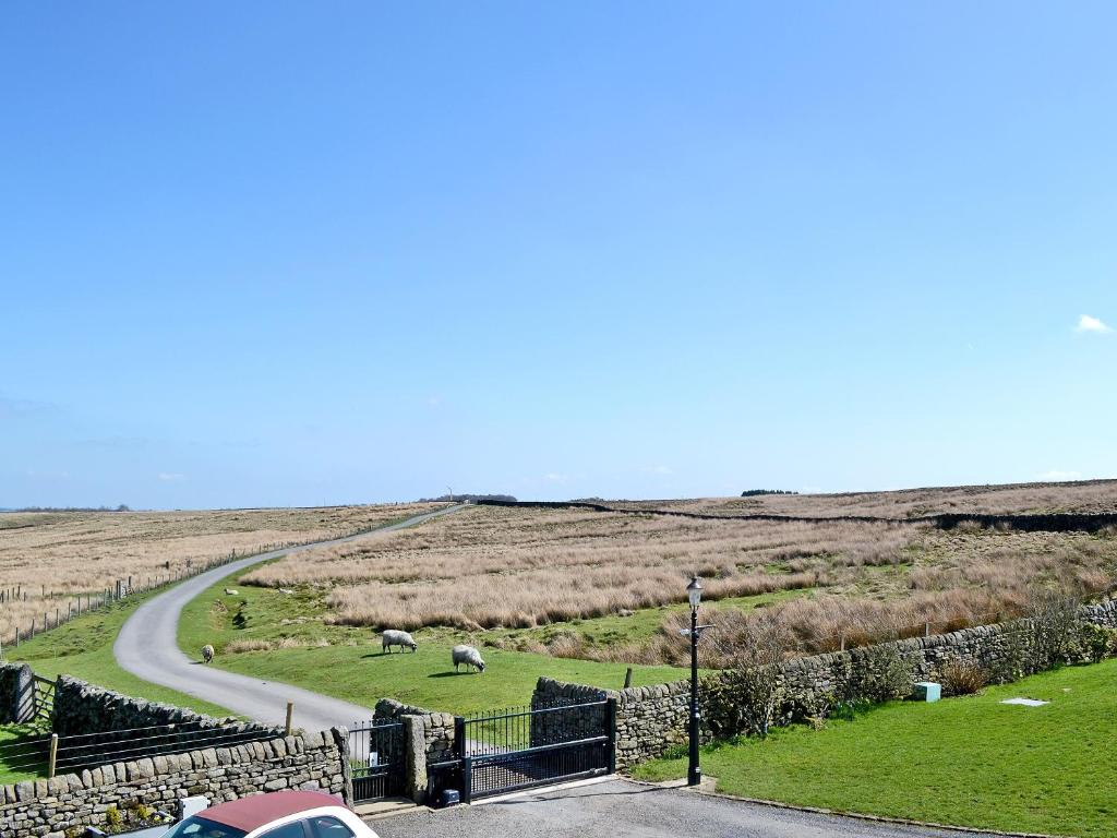 eine kurvenreiche Straße auf einem Feld mit Tieren auf dem Gras in der Unterkunft Far View Cottage in Haworth
