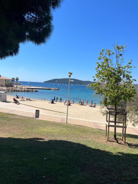 - une plage avec un arbre et des personnes sur la plage dans l'établissement 