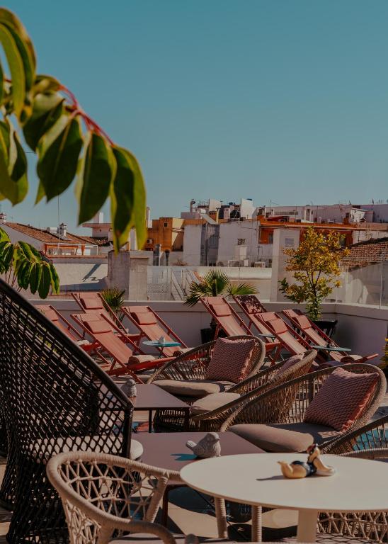 Vincci Molviedro - Resim 6