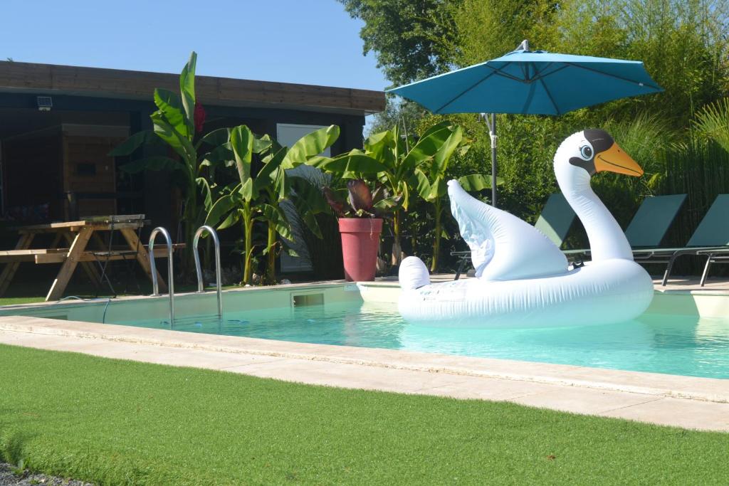 two swans in a swimming pool with an umbrella at MAISON BERTINEAU proche Saint-Emilion in Néac