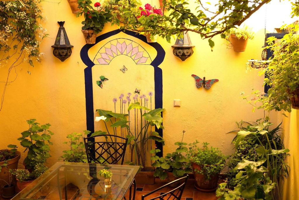 Zahrada ubytování Baraka Boutique Pensión