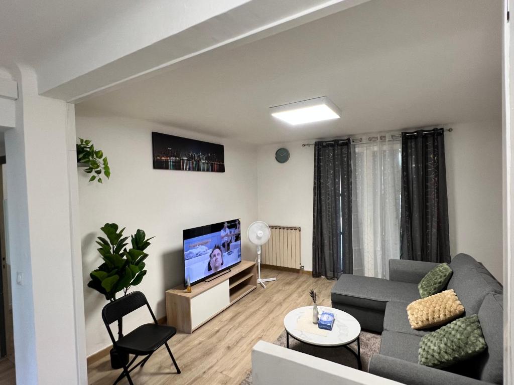 un salon avec un canapé et une télévision dans l'établissement Magnifique Appartement Montpelliérain, à Montpellier