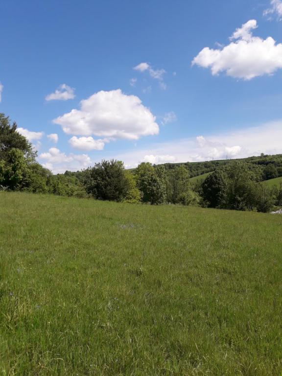 Příroda nedaleko luxury tent