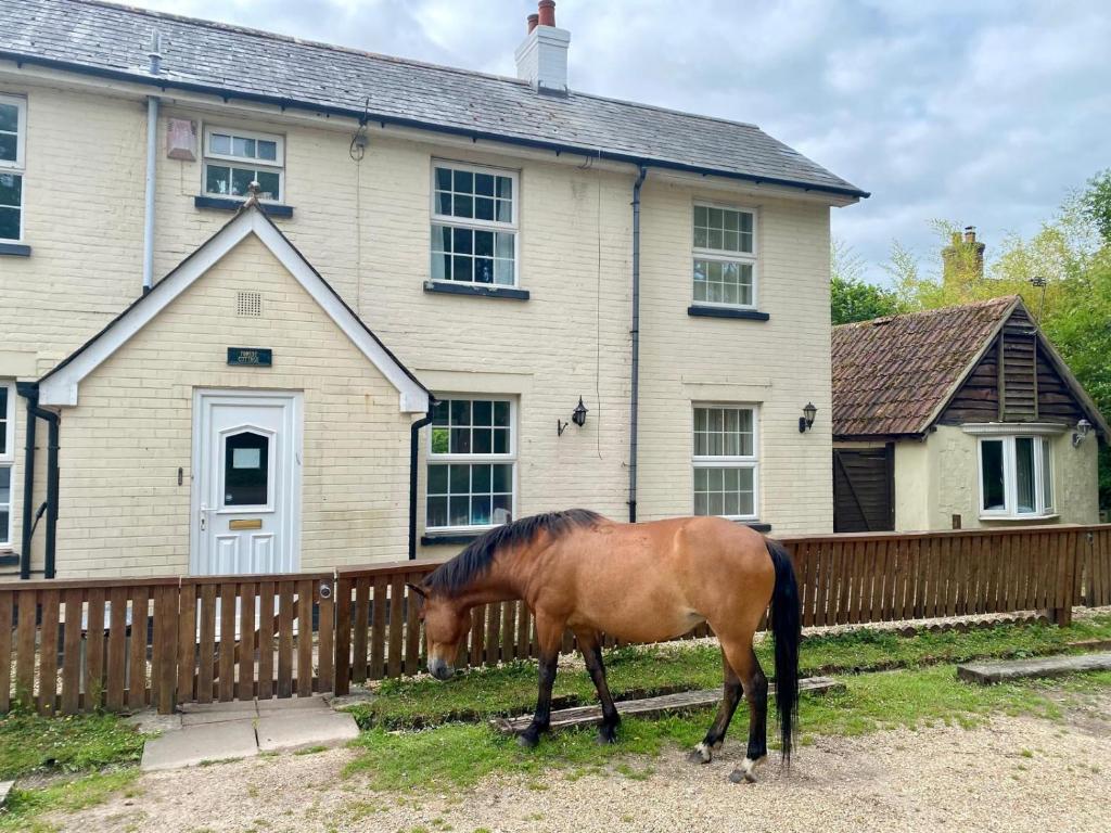 a brown horse grazing in front of a house at The Pigs' Pantry, Burley in Burley