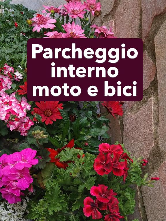 Fotografie z fotogalerie ubytování B&b Aloysia v destinaci Iglesias