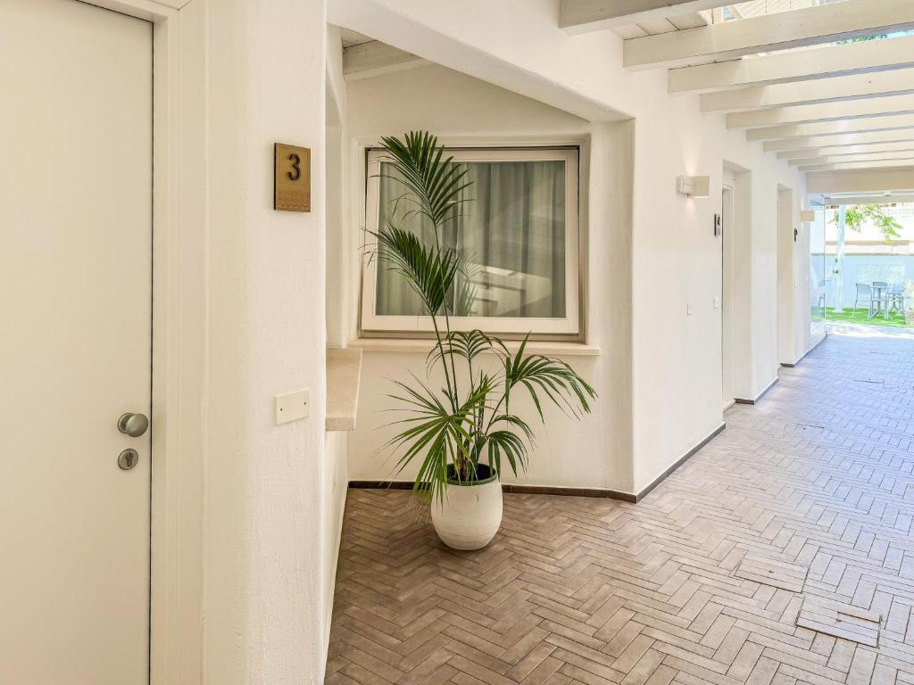 Aras Hotel Boutique - 12