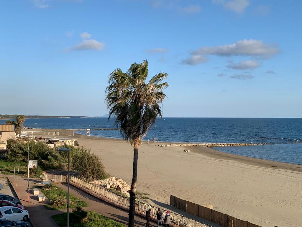 Naturlandskabet i nærheden af lejligheden