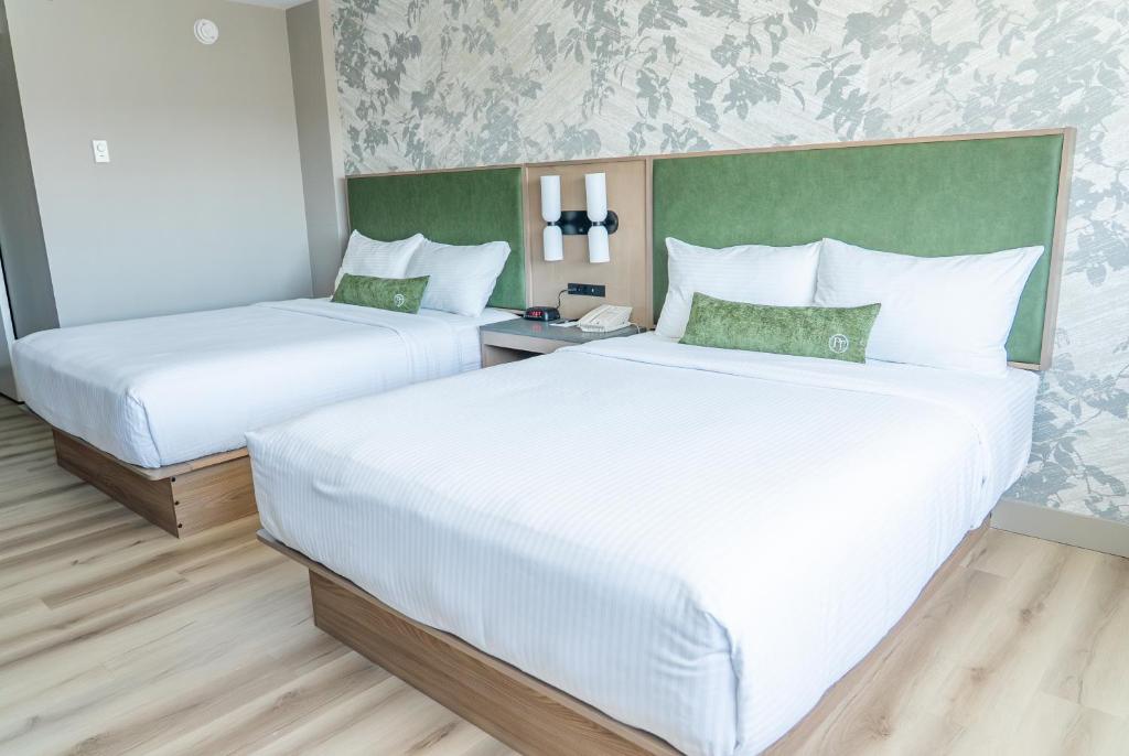 
Queen Room with Two Queen Beds
