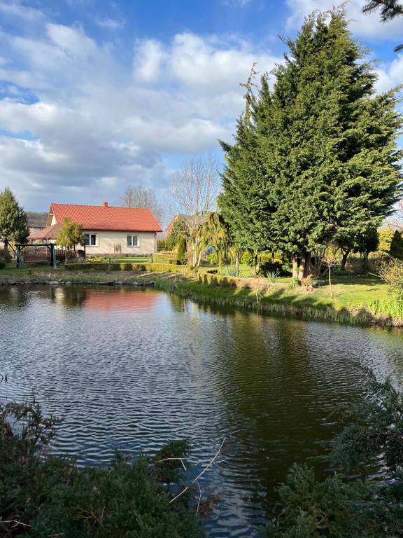a house next to a river with a house at Agroturystyka Smulsko in Przykona
