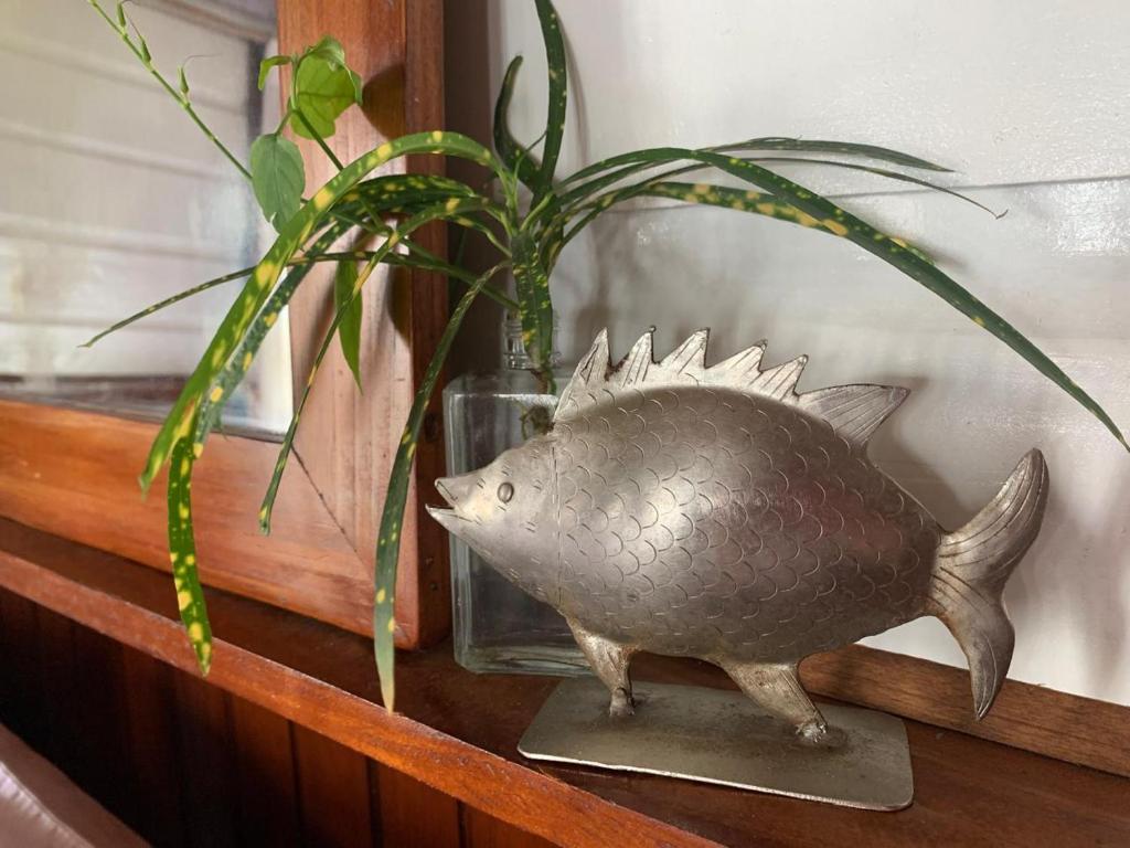 Fotografie z fotogalerie ubytování Casa Acuario Boutique Hotel v destinaci Bocas del Toro