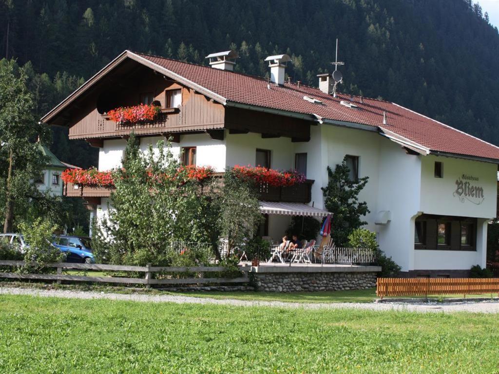 Příroda nedaleko bed and breakfast