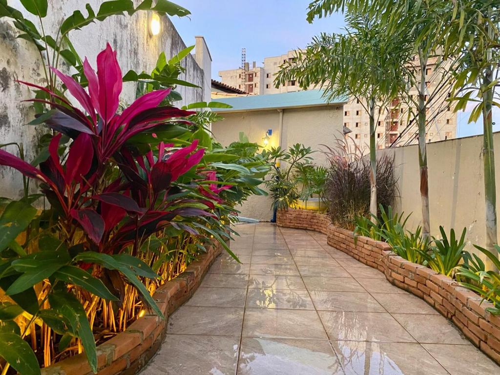 un giardino con molte piante e un passaggio pedonale di Studio-House with Tropical Garden a Belo Horizonte