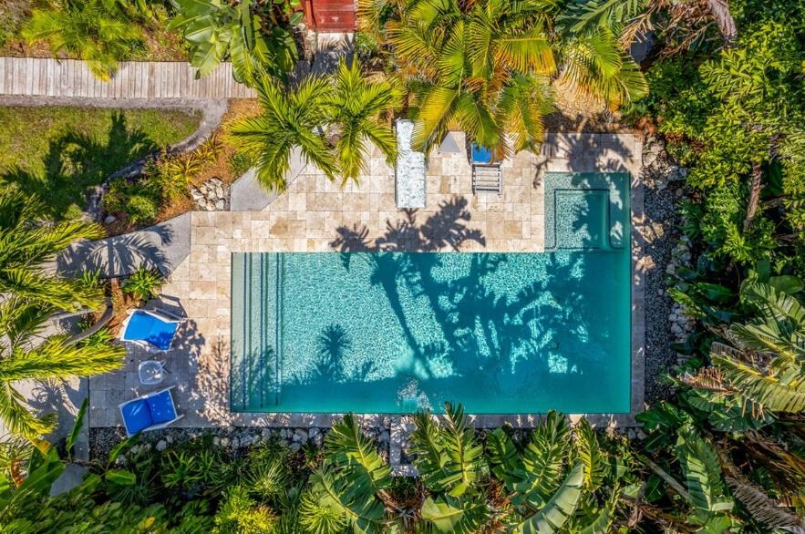 布雷登顿Manatee Palms的棕榈树环绕的游泳池的俯视图