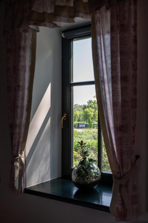 Zahrada ubytování Guest House Vidravar