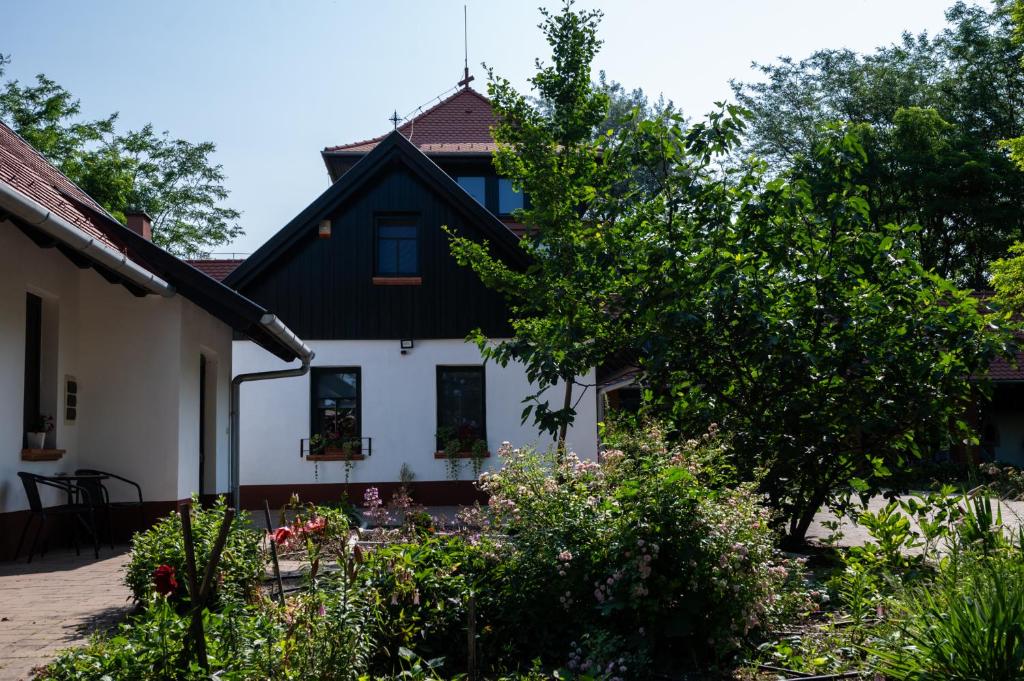Zahrada ubytování Guest House Vidravar