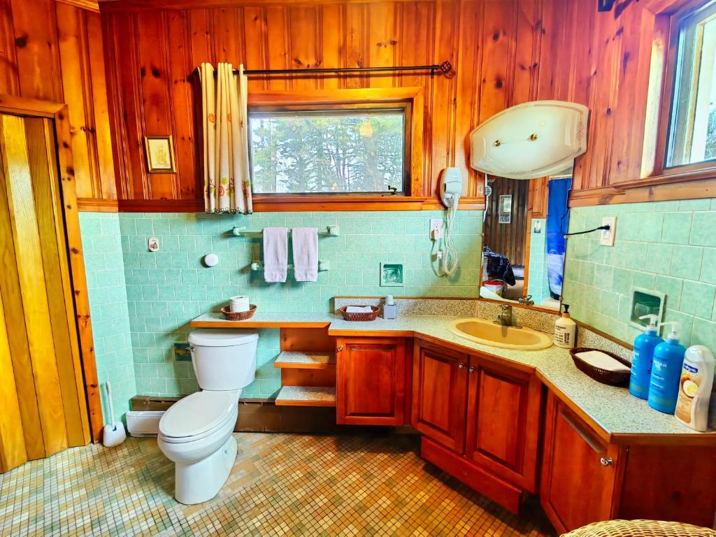 a bathroom with a toilet and a sink at 181 Oceanside Inn in Peggy's Cove