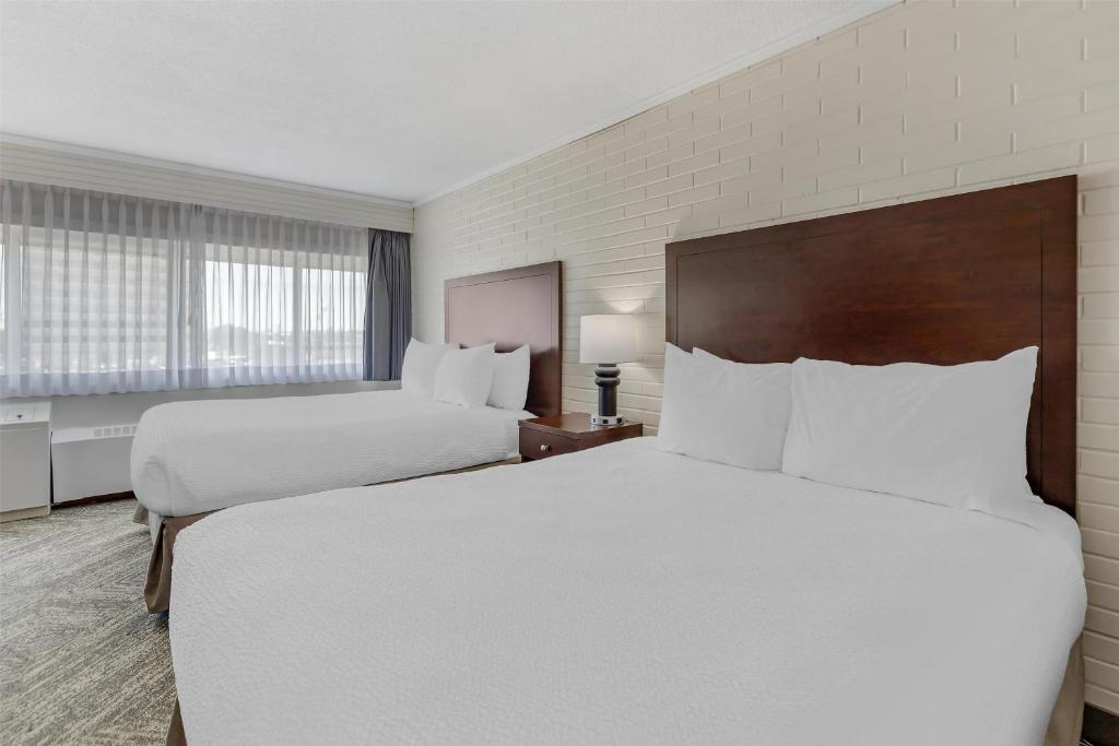 
Queen Room with Two Queen Beds - Non-Smoking/Pet Friendly
