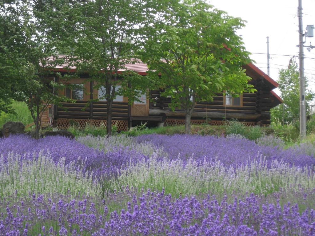 Zahrada ubytování Log Cottage Himawari