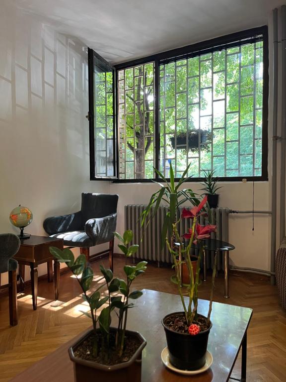 Posezení v ubytování Chillton hostel