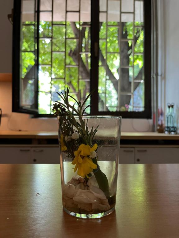 Fotografie z fotogalerie ubytování Chillton hostel v Bělehradě