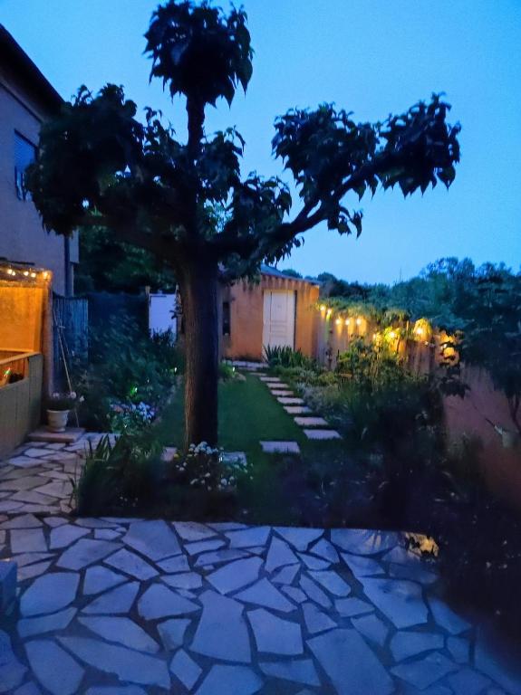 un arbre dans la cour d'une maison avec des lumières dans l'établissement Jolie maison avec spa exterieur, à Montpellier