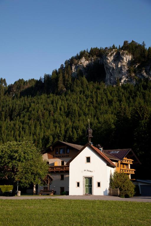 Příroda nedaleko hotelu