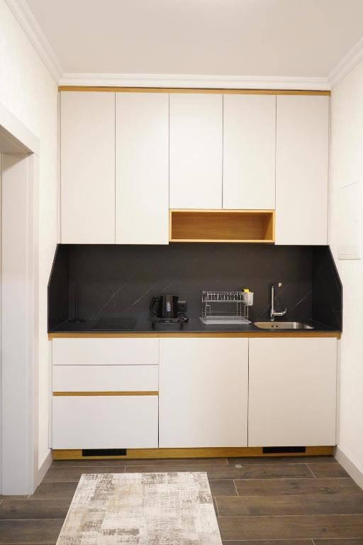 Kuchyň nebo kuchyňský kout v ubytování Apartament Koha